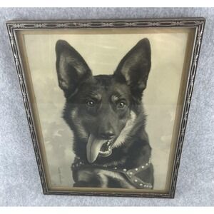 Vintage German Shepherd Dog Portrait 11x14 B&W Print Framed Signed Grove 40s 50s